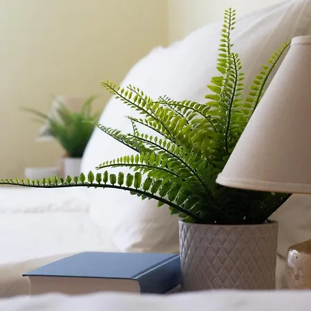 Omar's House Appartamento *