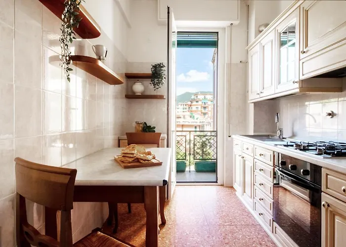 Omar's House * 라팔로