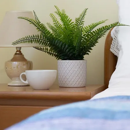 Omar's House Rapallo