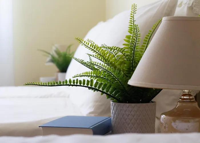 Omar's House Lejlighed *